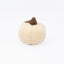 Zippy Paws Jumbo Pumpkin Fleece, Dog Toy