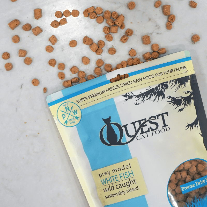 Steve's Quest Whitefish Nuggets 10-oz, Freeze-Dried Cat Food