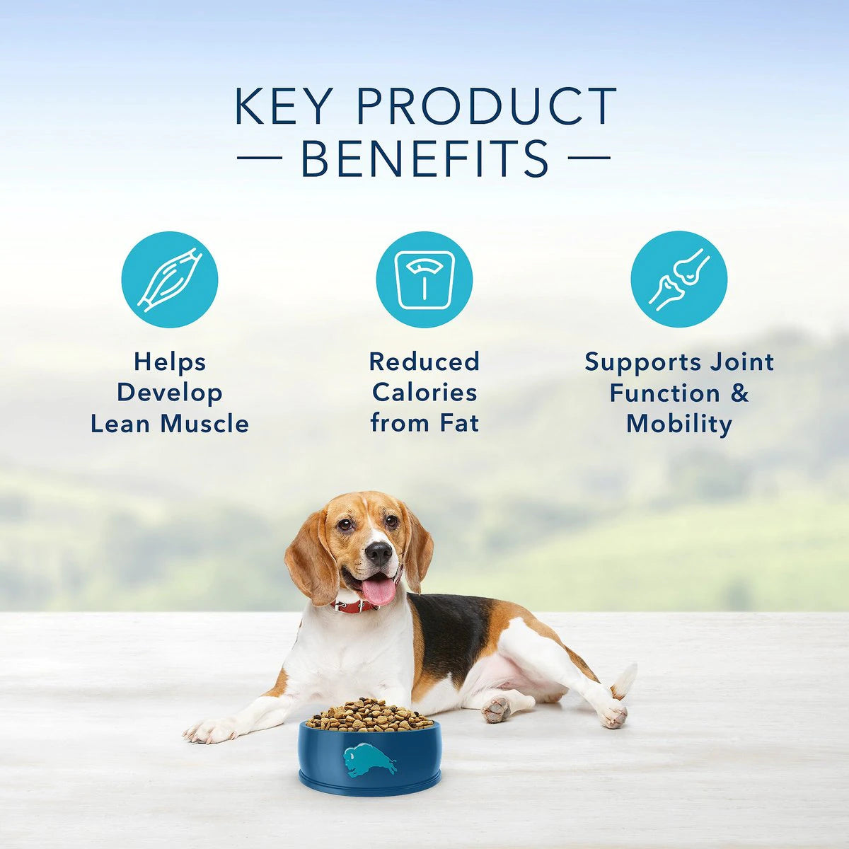 Blue Buffalo Life Protection Formula Natural Healthy Weight Chicken And Brown Rice Recipe, Dry Dog Food