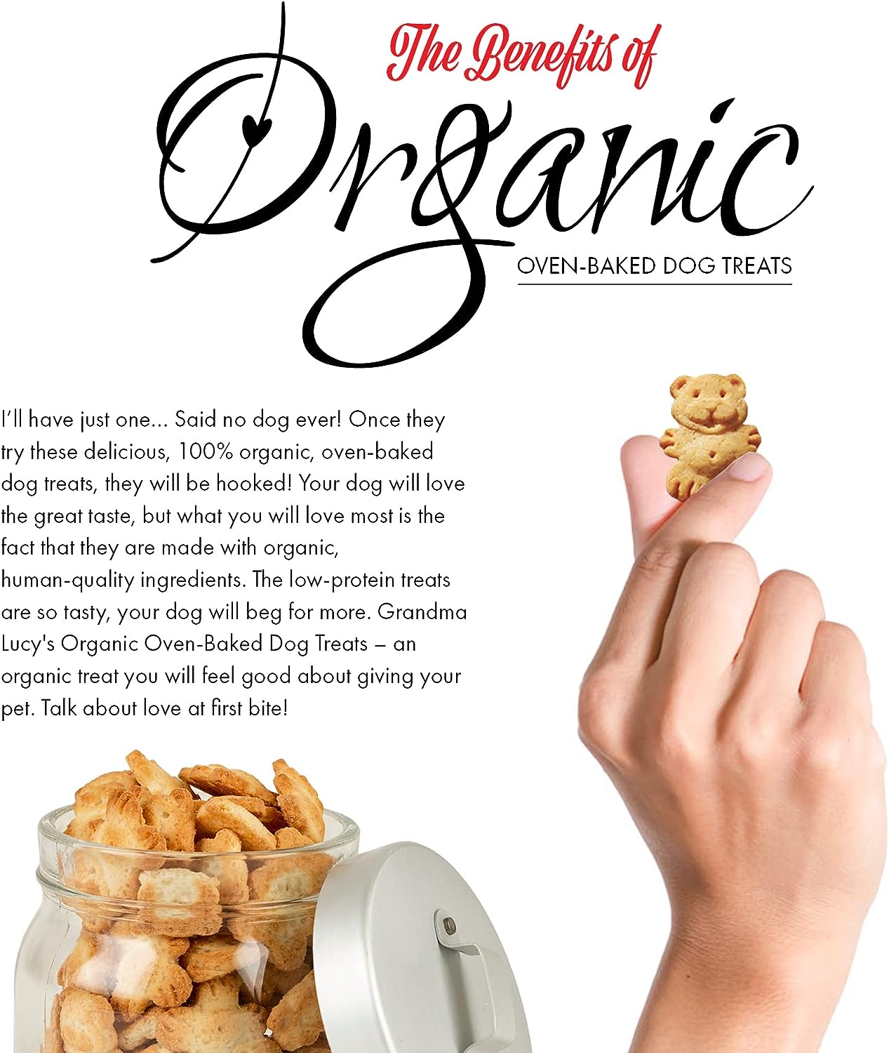 Grandma Lucy's Organic Oven Baked Banana & Sweet Potato Biscuits 14-oz, Dog Treat