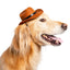 Pet Krewe Cowboy Hat, Dog Costume