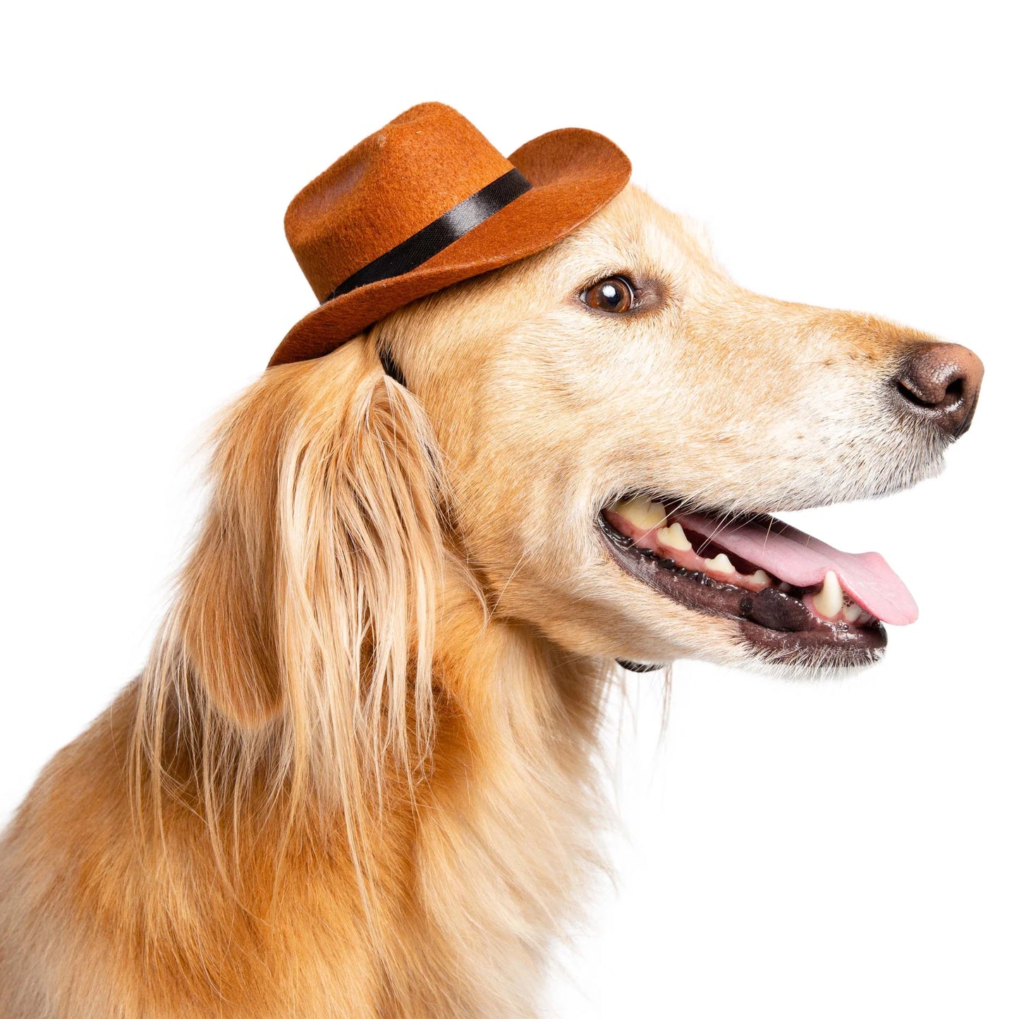 Pet Krewe Cowboy Hat, Dog Costume