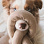 Lambwolf Collective Nou Enrichment, Dog Toy