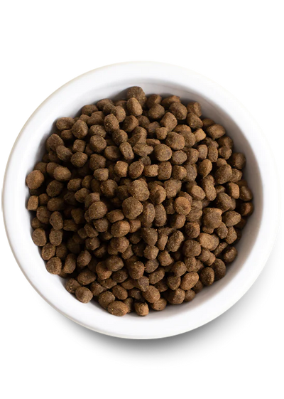 Open Farm Catch-of-the-Season Whitefish & Ancient Grains, Dry Dog Food