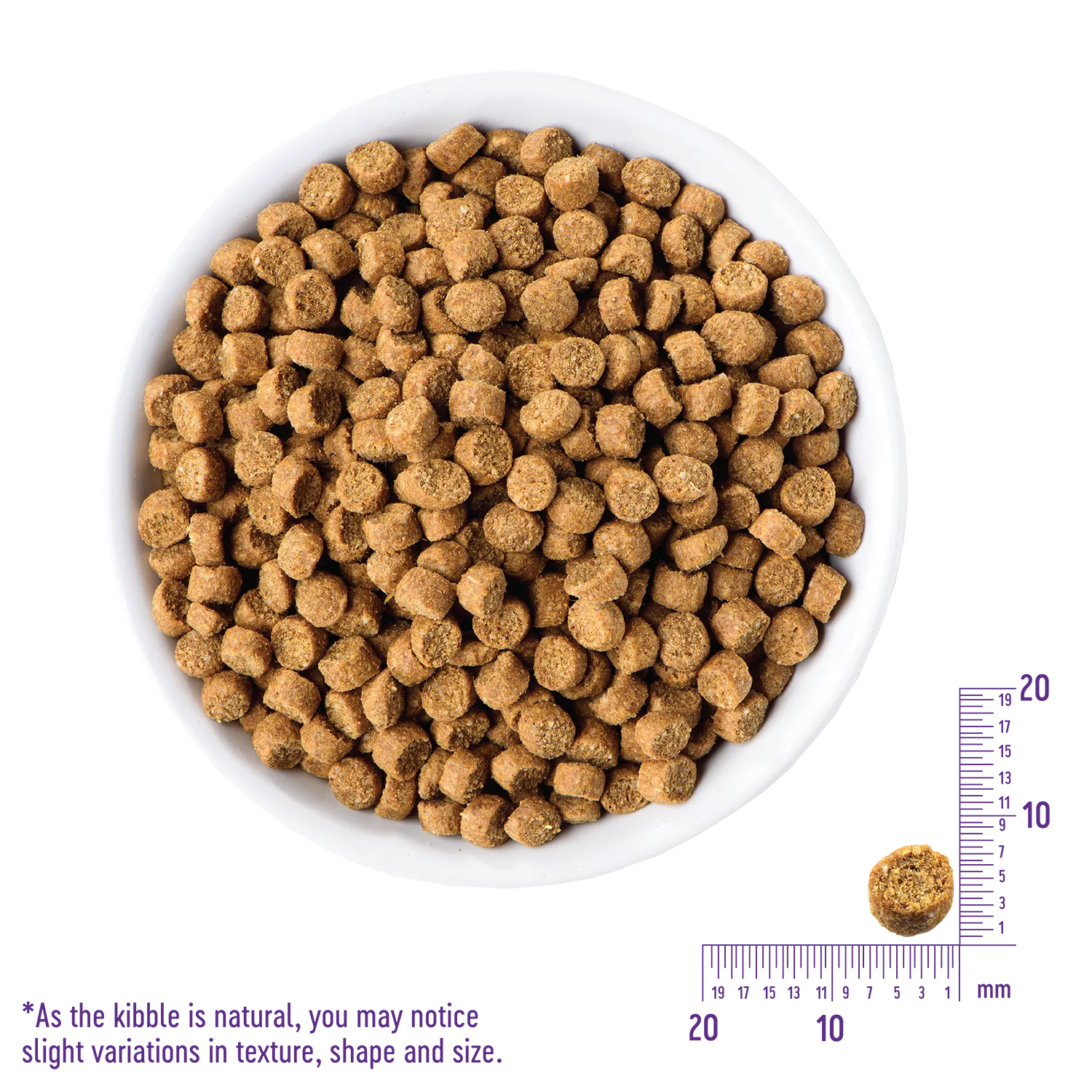 Wellness complete health grain free dog food deals