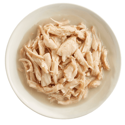RAWZ® Shredded in Broth Chicken Breast, Coconut & New Zealand Green Mussels Recipe, Wet Dog Food, 10-oz Case of 12