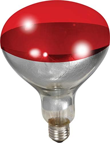 Little Giant 250 Watt Red Bulb For Brooder Lamp