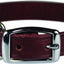 Omnipet Latigo Stitched Collar For Dogs