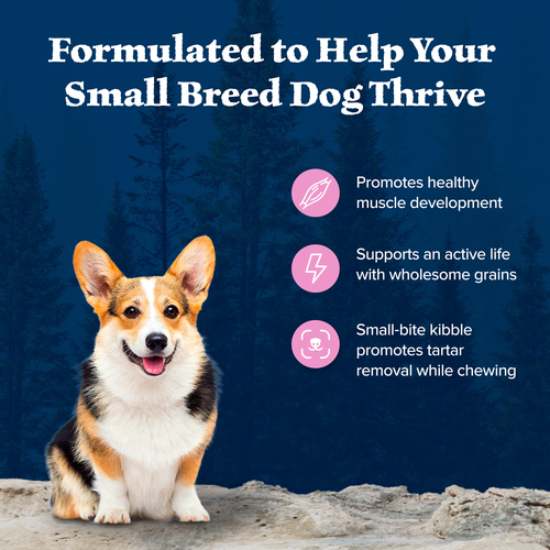 Blue Buffalo Wilderness Small Breed Chicken With Wholesome Grains Recipe, Dry Dog Food