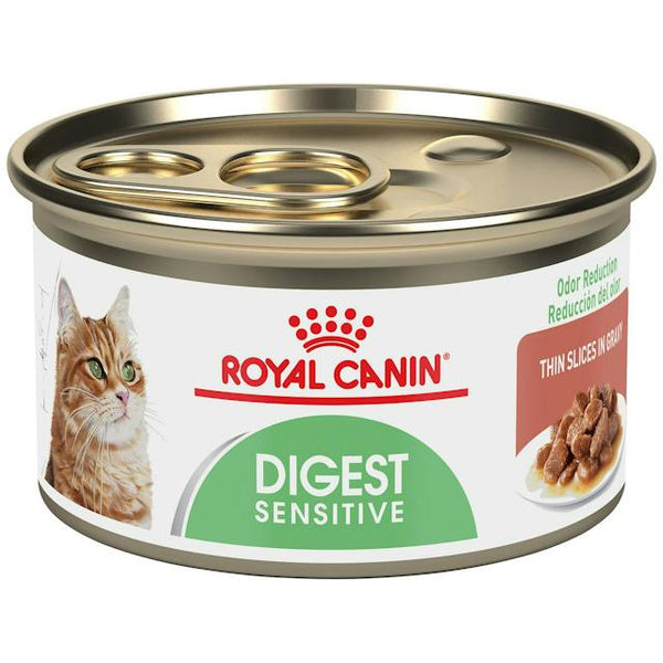 canfront_3bdefd87-c564-4cd4-