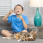 Pet Qwerks Catnip IncrediBubbles, Cat Treat