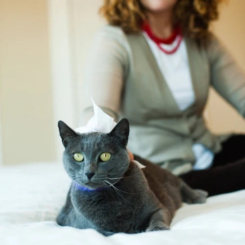 Earthbath Hypoallergenic Cat Wipes 100-Count, Grooming Wipes