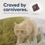 ZiwiPeak Chicken Recipe Air-Dried Cat Food, 14-oz Bag