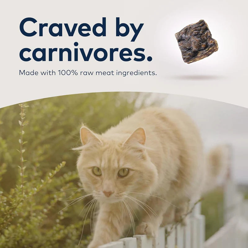 ZiwiPeak Chicken Recipe Air-Dried Cat Food, 14-oz Bag
