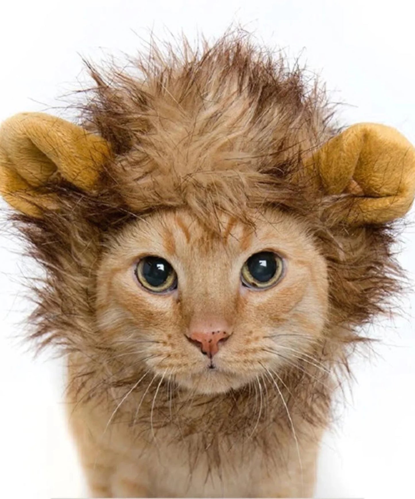 Pet Krewe Lion Mane, Dog & Cat Costume