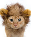Pet Krewe Lion Mane, Dog & Cat Costume