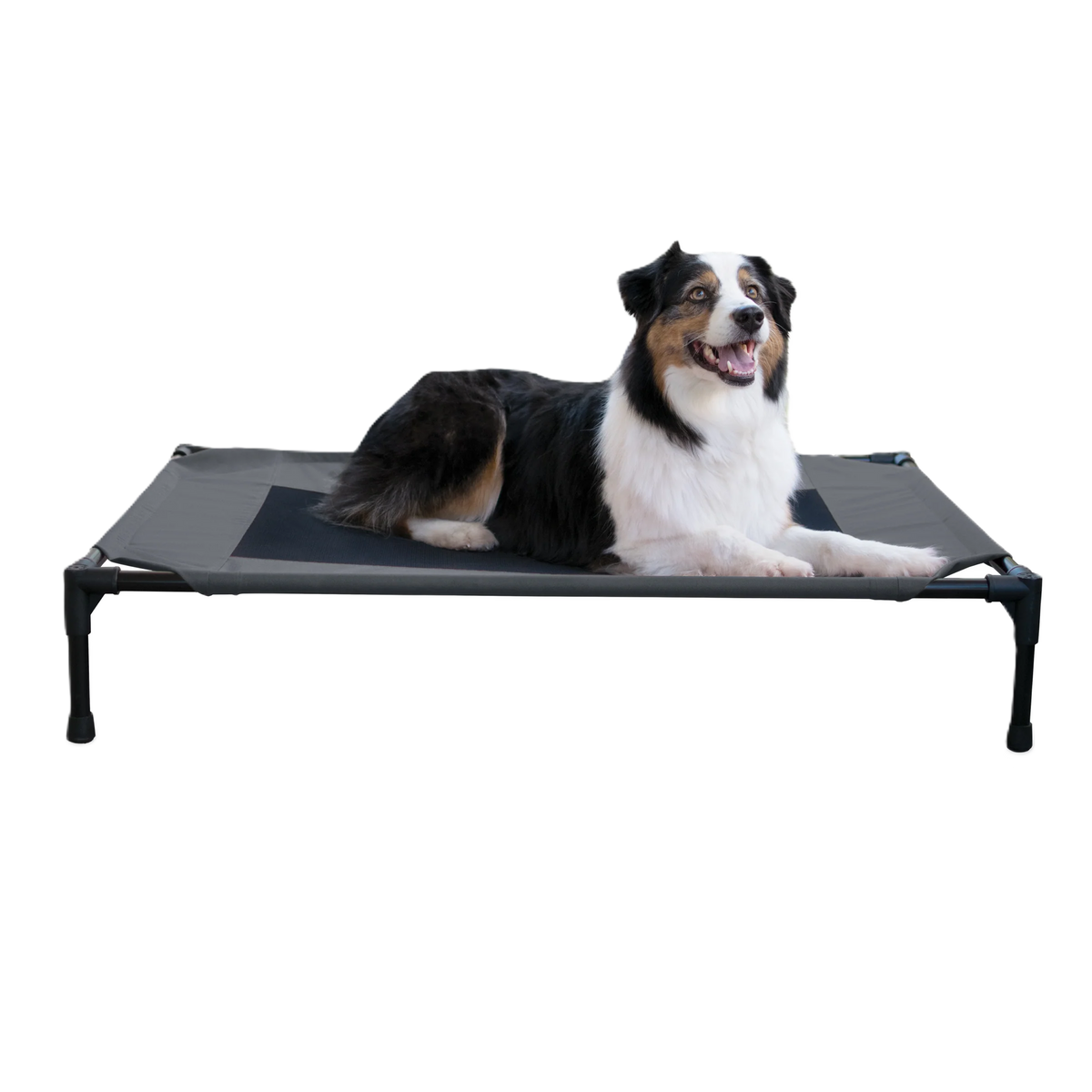 K&H Original Pet Cot, Charcoal