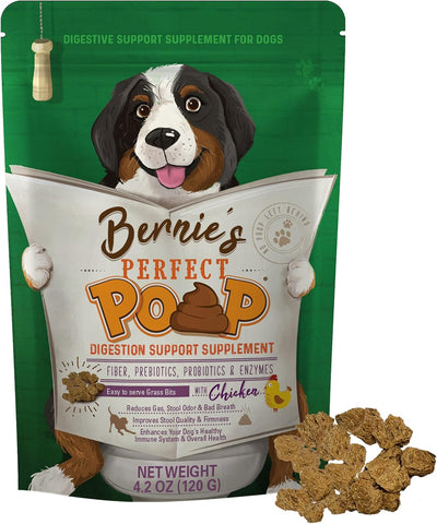 Bernie's Perfect Poop With Chicken, Dog Supplement