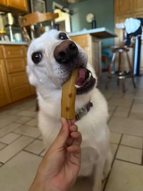 High Four Pollack Fish Cake Bar, Dog Treat