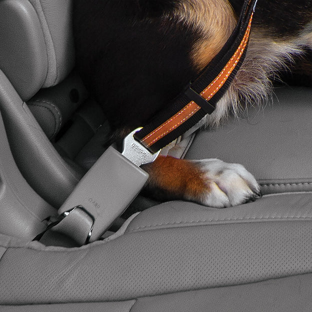 Kurgo Direct To Seatbelt Swivel Tether For Dogs