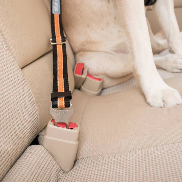 Kurgo Direct To Seatbelt Tether For Dogs