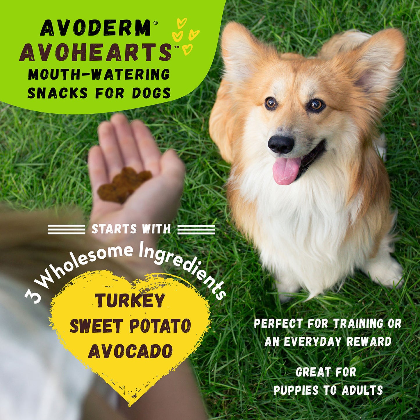Avoderm® Avohearts™ Turkey & Avocado Formula 5-oz, Dog Treat