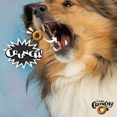 Fromm Crunchy O'S Bacon Blasters Flavor, Dog Treat