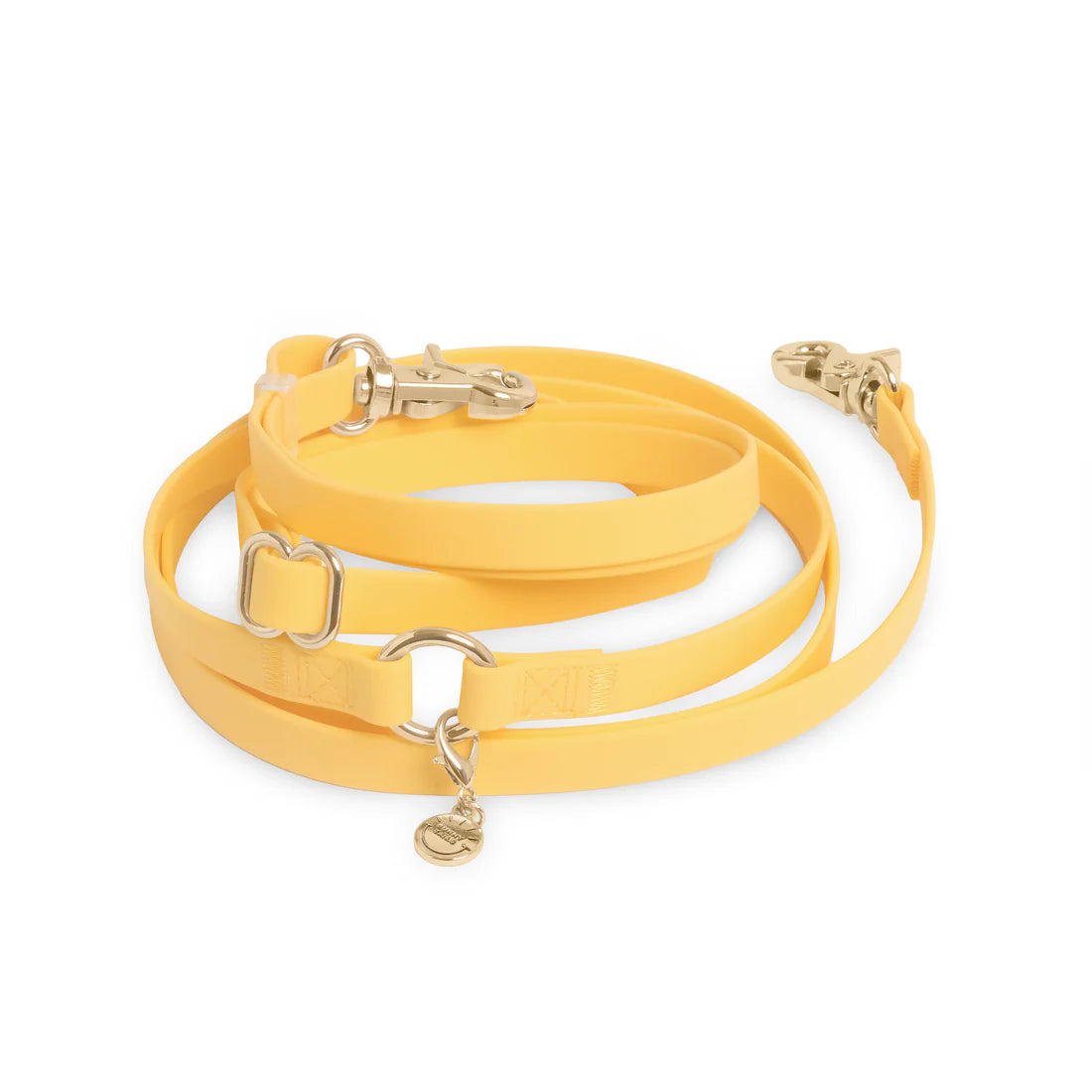 Shop Sunny Tails 4-In-1 Hands Free Leash For Dogs