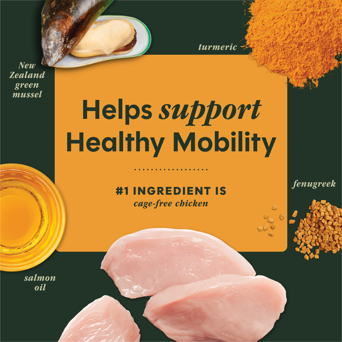 Instinct Raw Boost Mixers Mobility Support Health Freeze-Dried Dog Food Topper, 5.5-oz Bag
