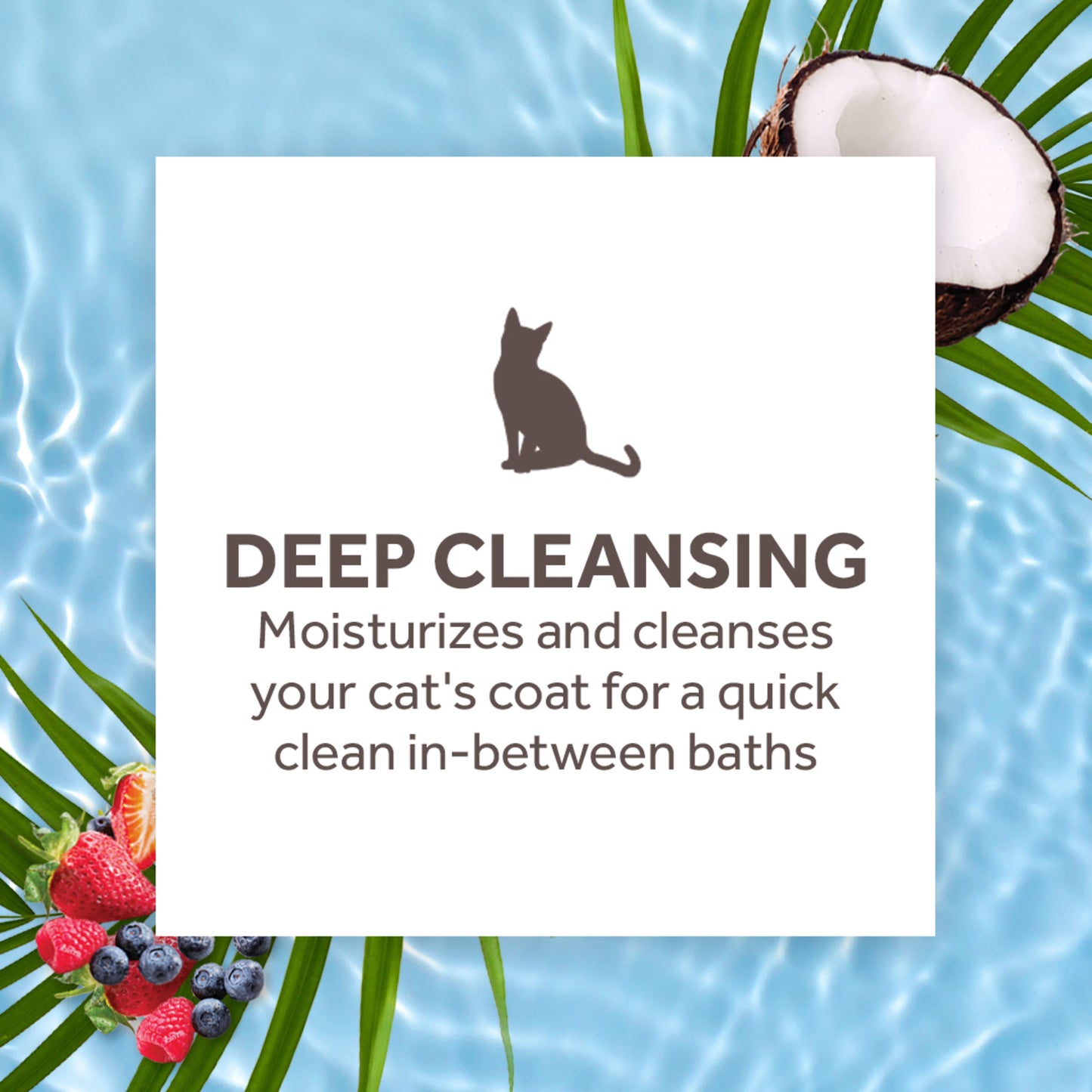 Tropiclean Waterless Shampoo Berry & Coconut 7.4-oz, Cat Shampoo