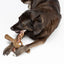 Benebone Bacon Pawplexer, Dog Toy