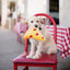 Zippy Paws NomNomz® Pizza Slice, Dog Toy