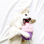 Zippy Paws Pink Cupcake, Dog Toy