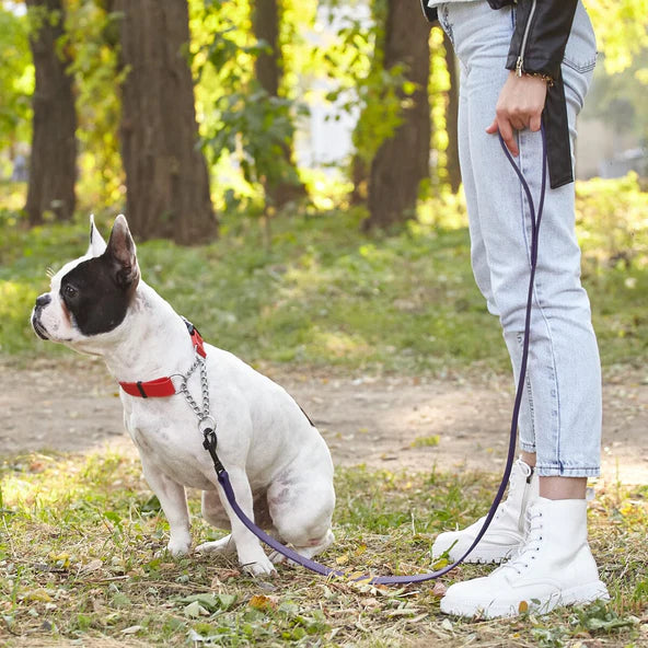 Dogline Biothane Waterproof 6-Foot, Dog Leash