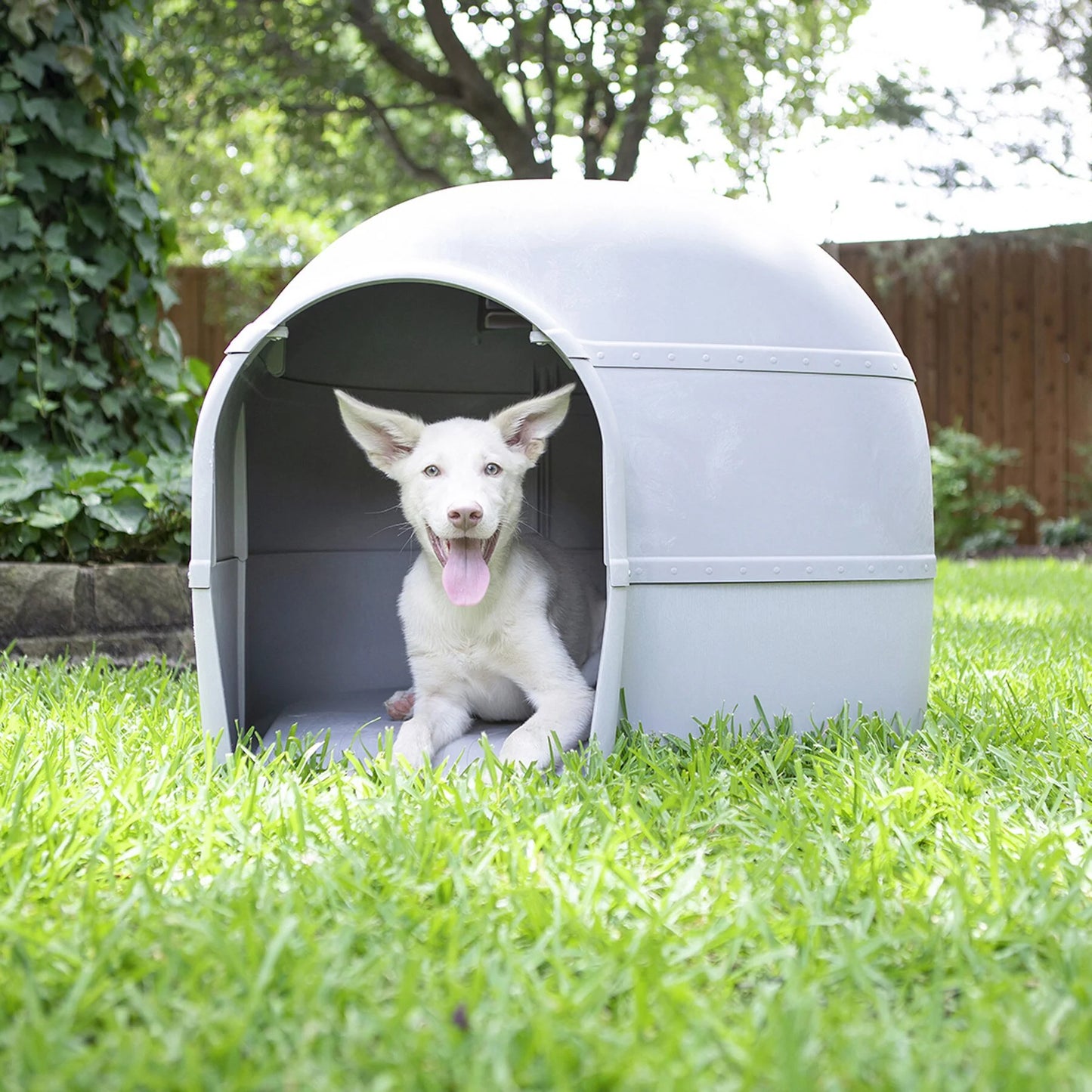 Petmate Husky, Dog House