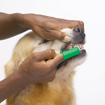 Top Performance ProDental Finger Brush For Pets