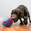 Kong Medium/Large Rewards Wally, Dog Toy