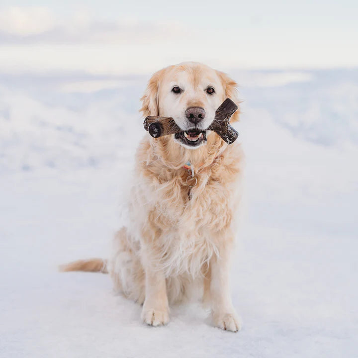 Benebone Maplewood Stick, Dog Toy