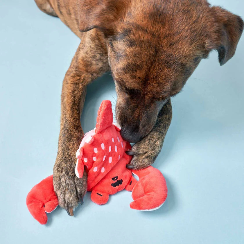 The Furryfolks Uncle Crab Nose Work, Dog Toy