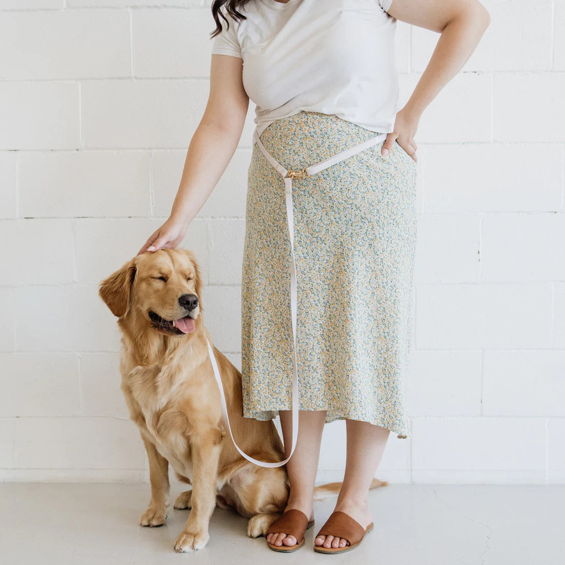 Shop Sunny Tails 4-In-1 Hands Free Leash For Dogs