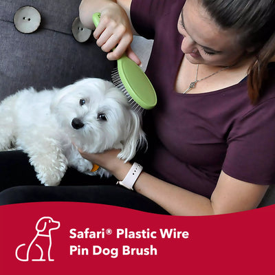Safari Wire Pin, Dog Brush