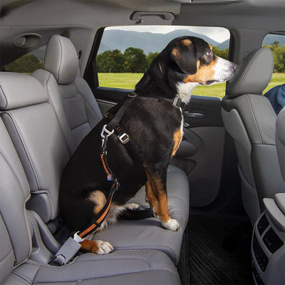 Kurgo Direct To Seatbelt Swivel Tether For Dogs