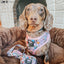 Sassy Woof The Powerpuff Girls Dog Harness