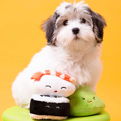 Pearhead Sushi Bento Box Set, Dog Toy