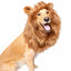 Pet Krewe Lion Mane, Dog & Cat Costume