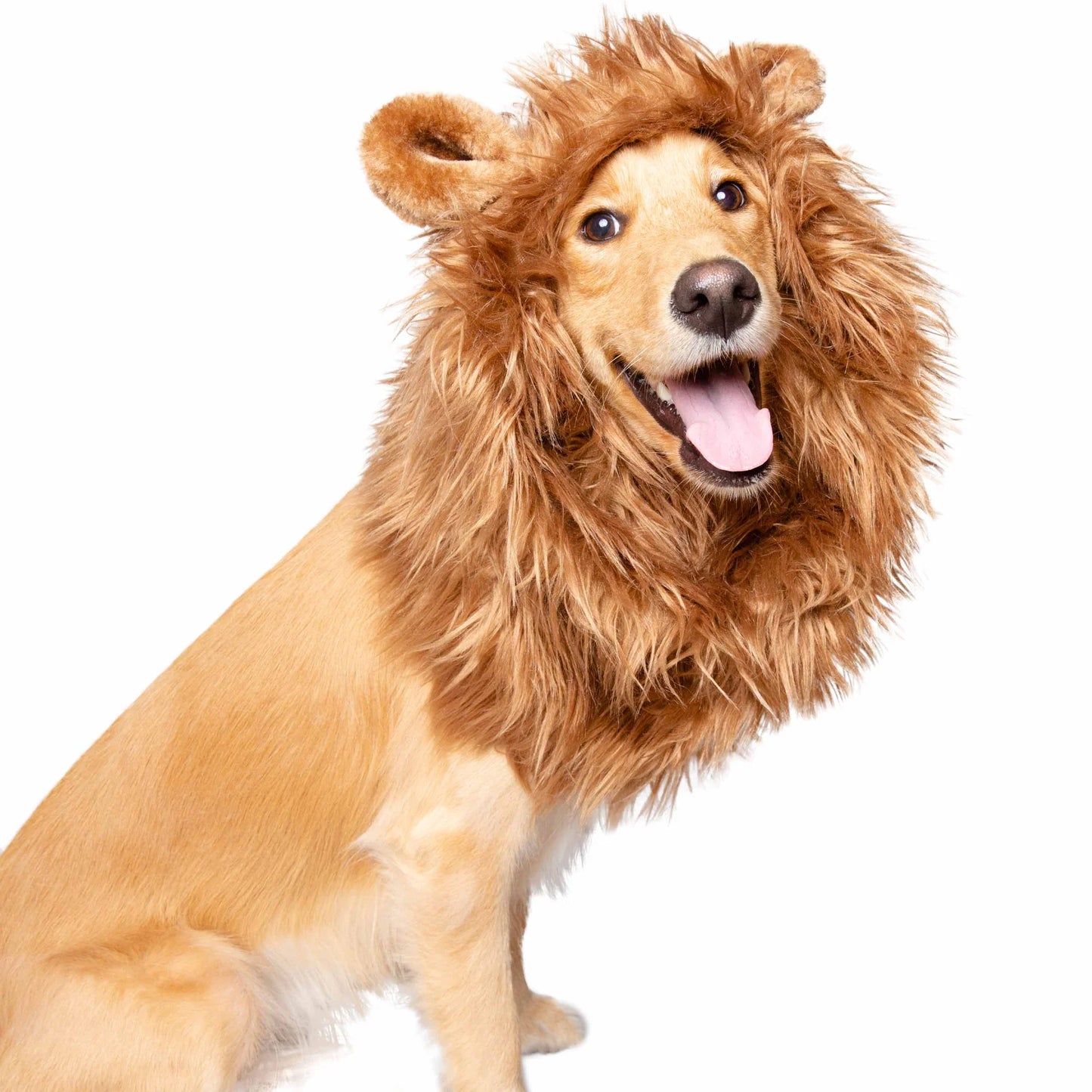 Pet Krewe Lion Mane, Dog & Cat Costume