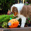 Zippy Paws Halloween Burrow® Pumpkin With Bats, Dog Toy