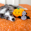 Zippy Paws Halloween Burrow® Pumpkin With Bats, Dog Toy