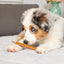 Barking Buddha Longlastics™ Jumbo Collagen Stick 6-inch, Dog Chew
