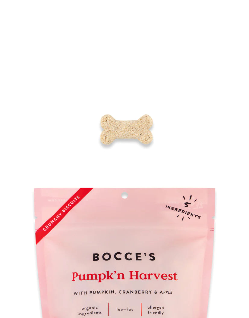 Bocce's Bakery Pumpk'n Harvest Biscuits 12-oz, Dog Treat